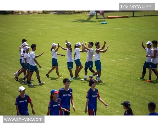 飞盘盛宴：深入探讨杭州飞盘队的实力与发展潜力MBA