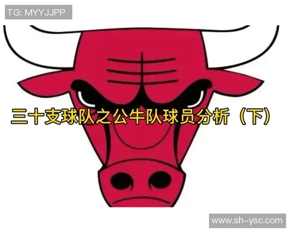 黄蜂与公牛激战正酣NBA直播精彩瞬间回顾与分析